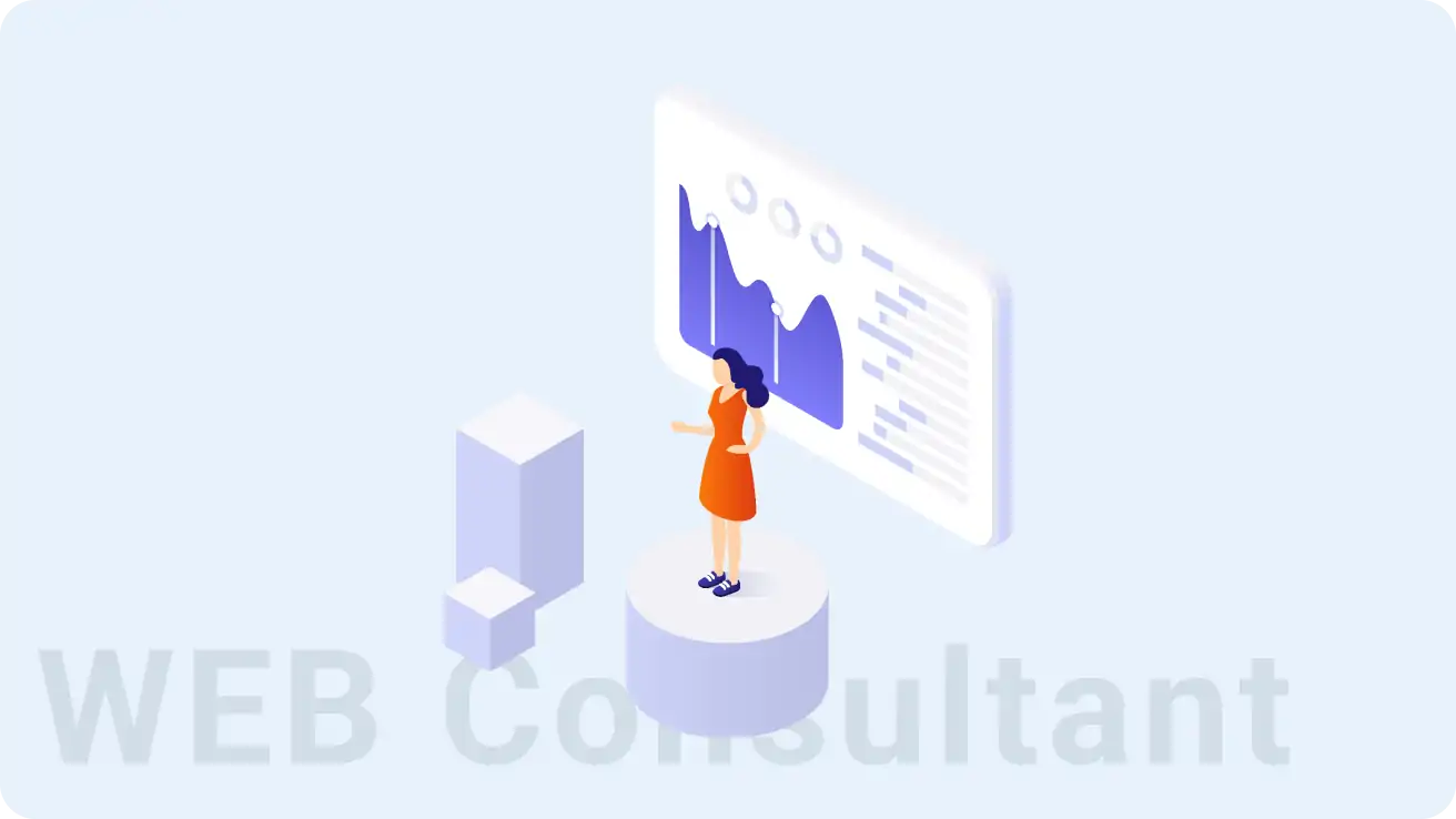 WEB Consultant